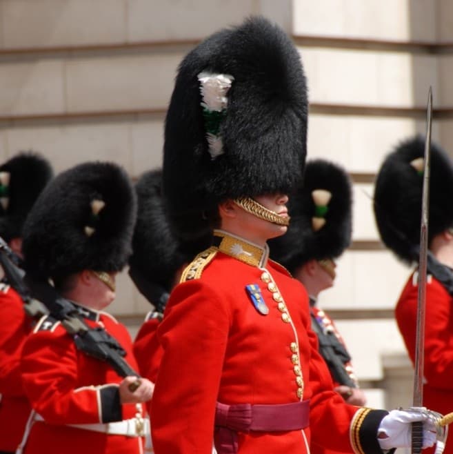 Changing of the Guard with Fantastic Walks in London