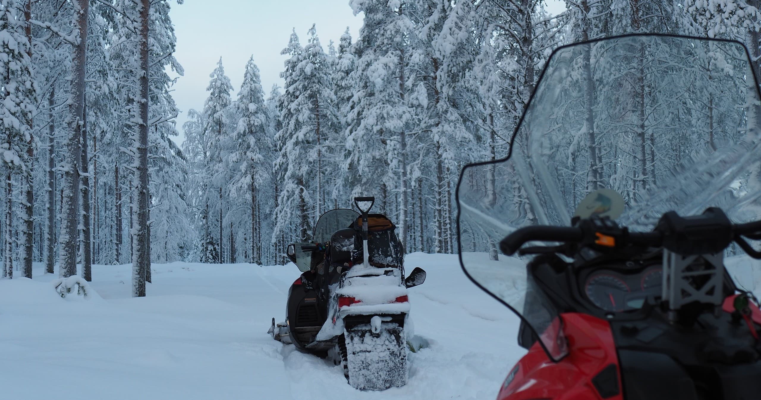 Private Arctic Day in Posio: Snowmobile, Kota Lunch & Husky Sledding photo 2