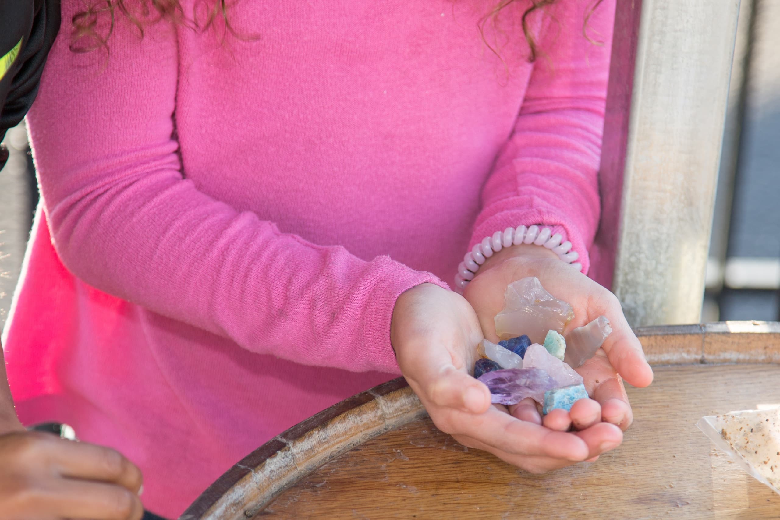 Gemstone Mining & Fossil Dig Adventure in Onsted, MI