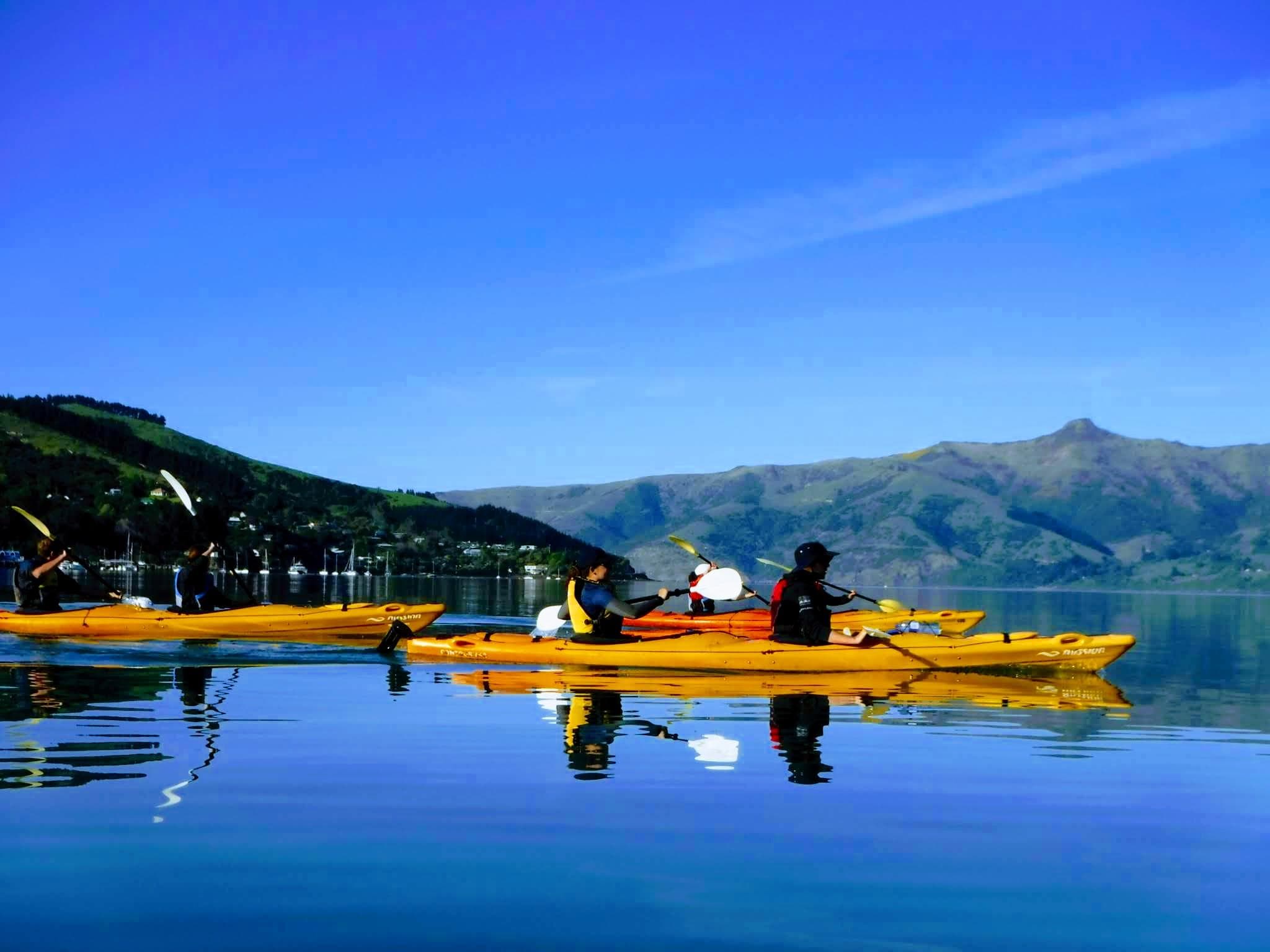Sea kayakers gliding at sunrise with mountain reflections in bay