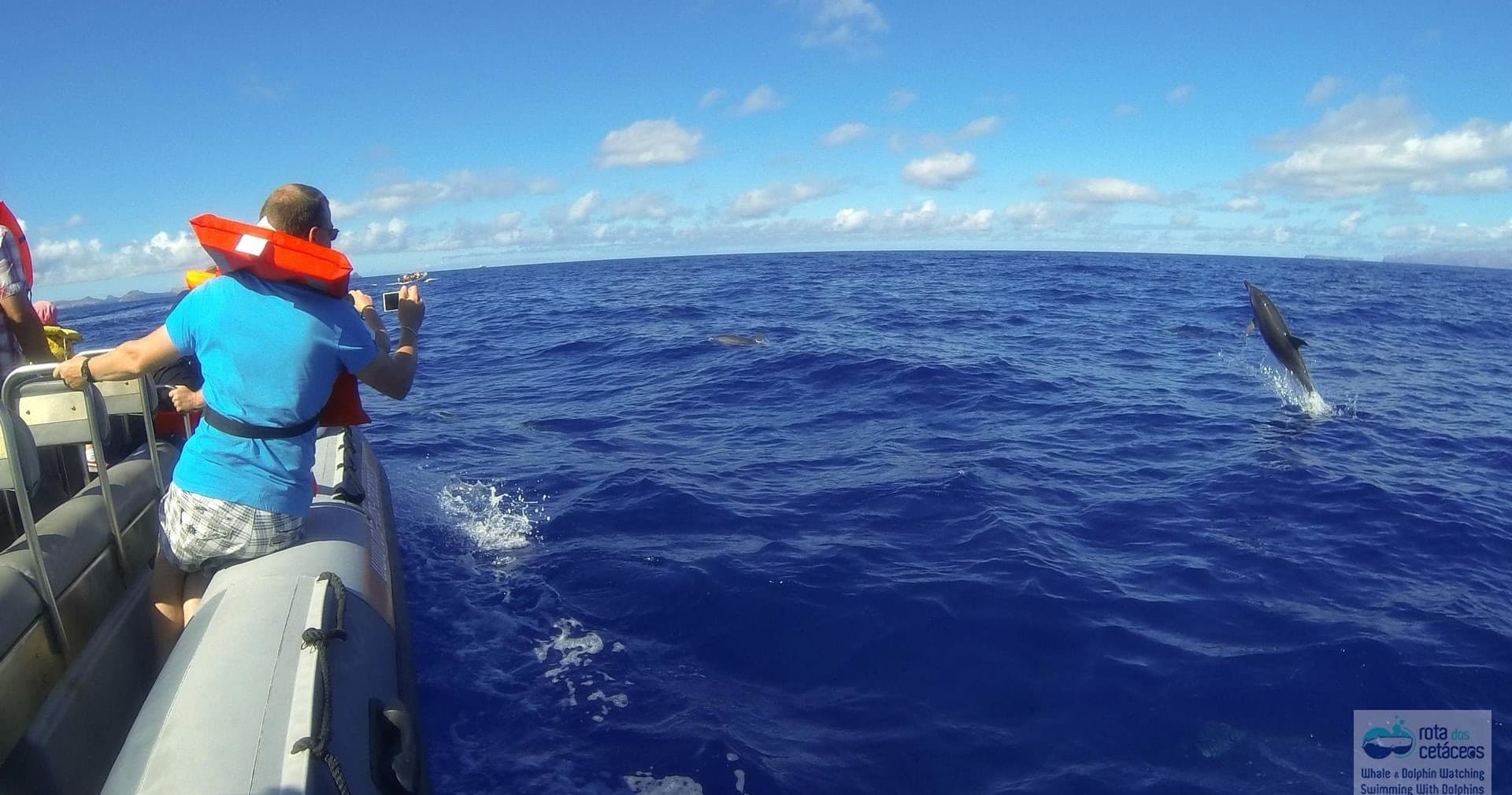 Tourist leaning over boat watching dolphin breach offshore