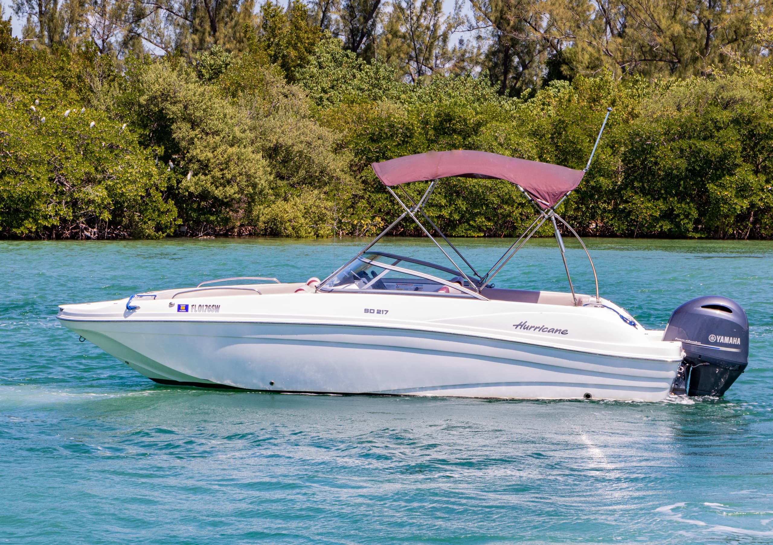 Bowrider boat gliding past mangrove-lined shore in calm bay