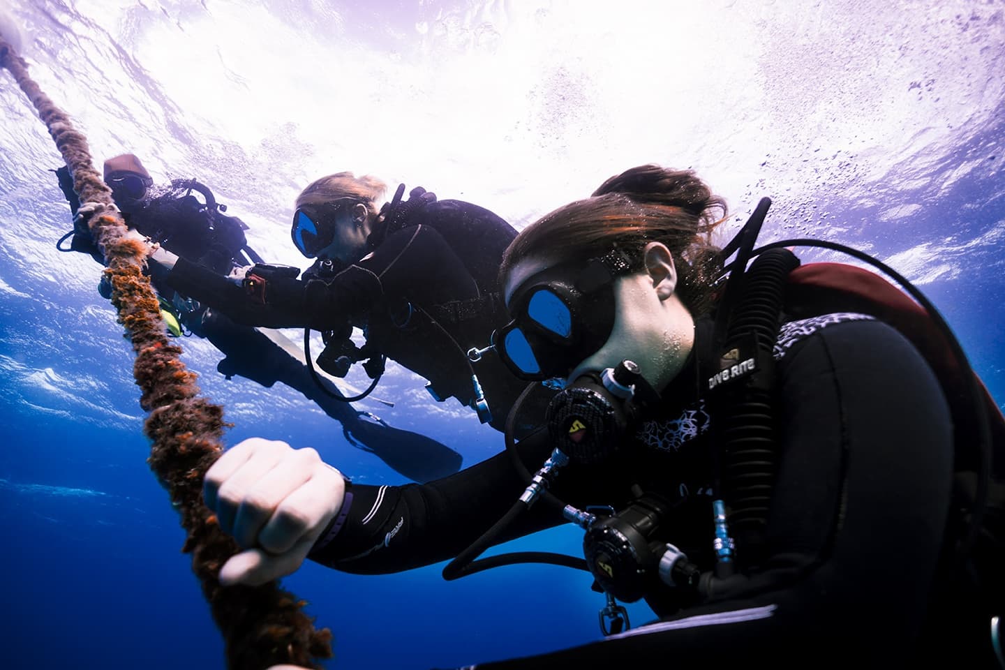 Learn to Scuba in Brooklyn: SDI Open Water at Lake Hydra