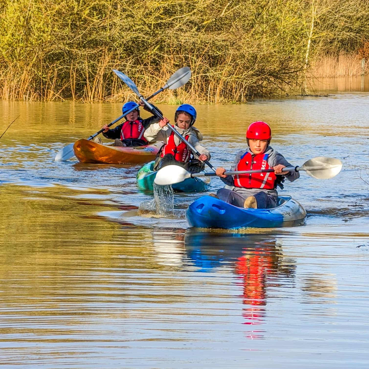 Three children kayaking through calm lake reeds in sunlight