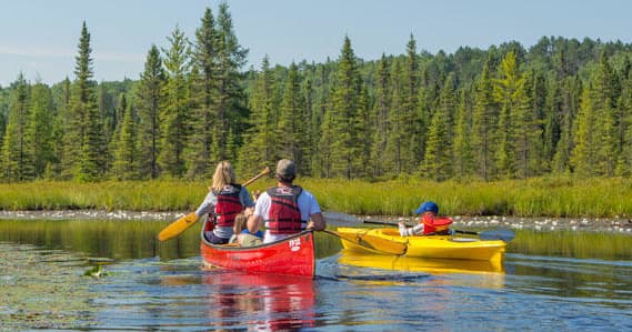Paddling Adventure on Costello Creek with Algonquin Outfitters