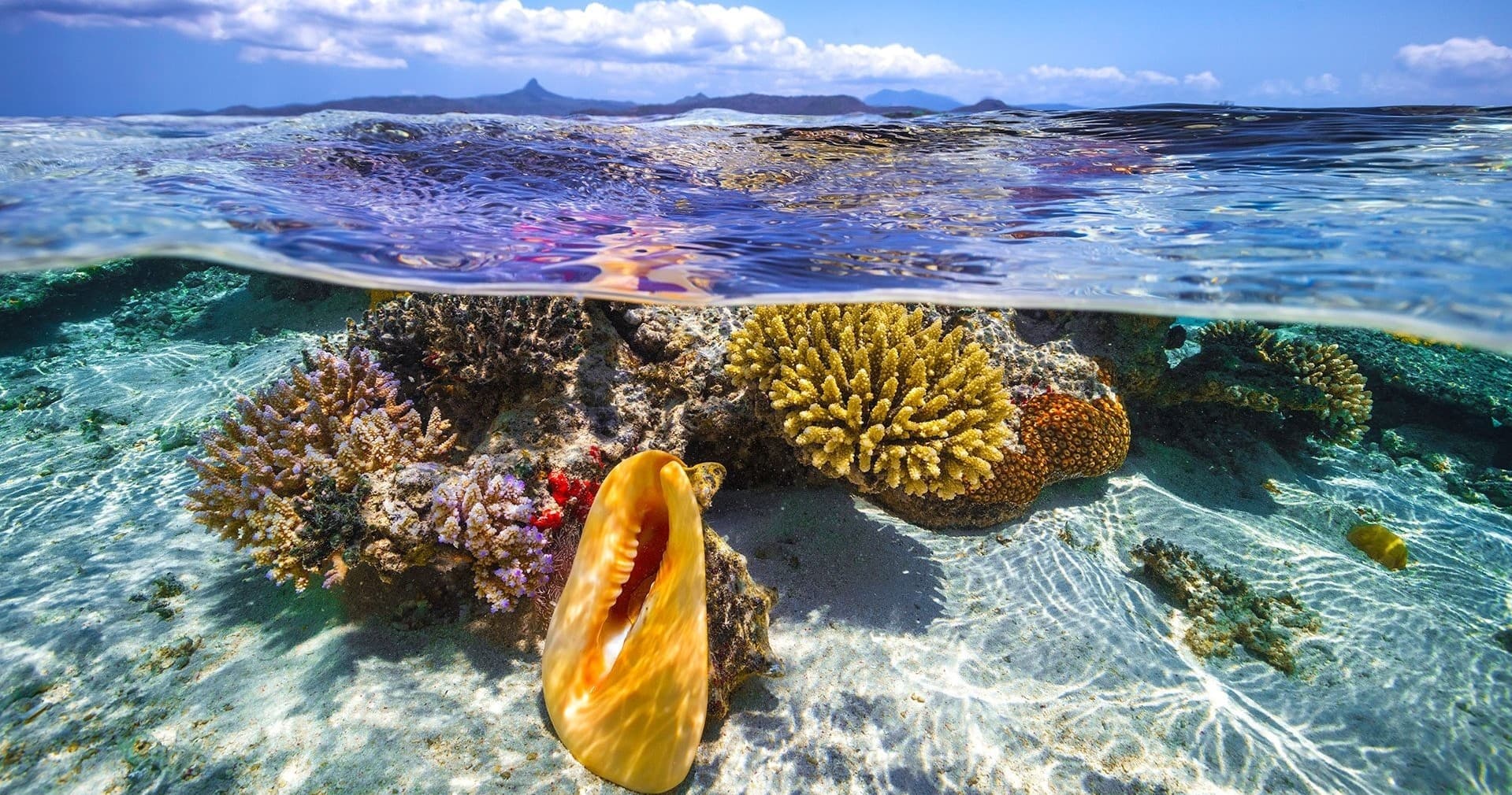 Water Activities with Beach Bum Charters: Sail the Waters of Your Dreams