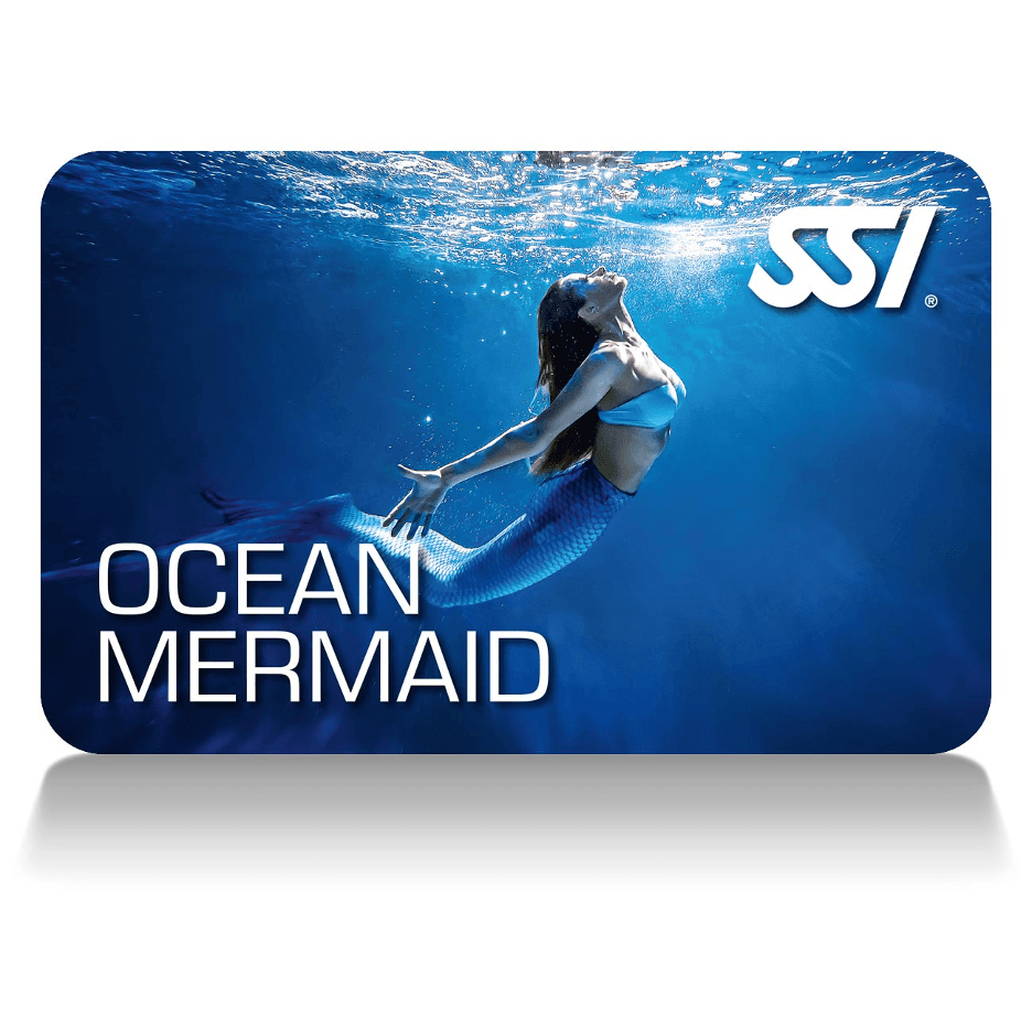 Experience the Magic of Mermaiding in Crystal River’s Pristine Waters