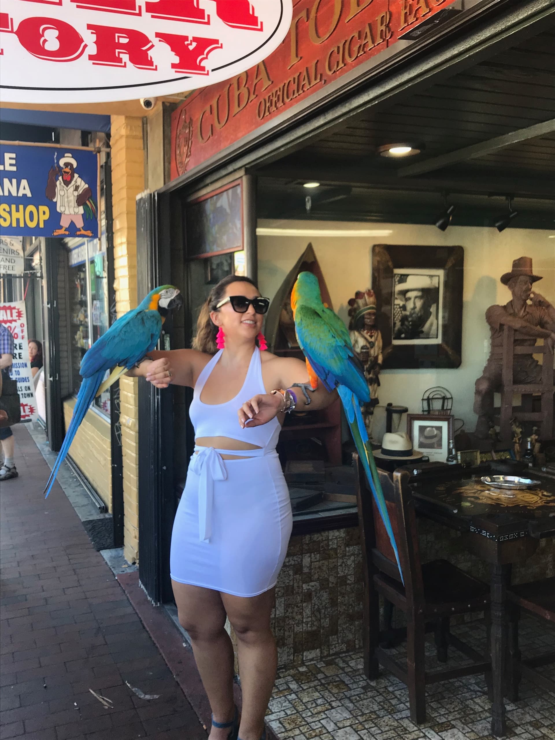 Woman posing with colorful parrots on Miami street
