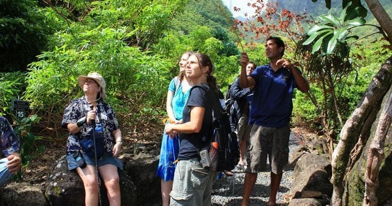 Garden Tours & Nature at Limahuli Garden & Preserve