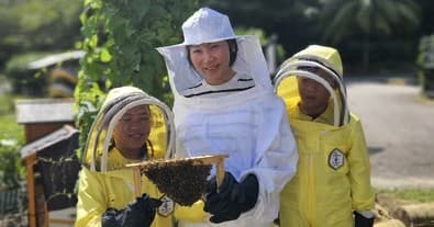 Urban Permaculture Tour in Singapore: Hands-On Farming and Bee Encounters