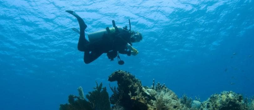 Water Activities: Scuba Dive at Los Arcos in Puerto Vallarta