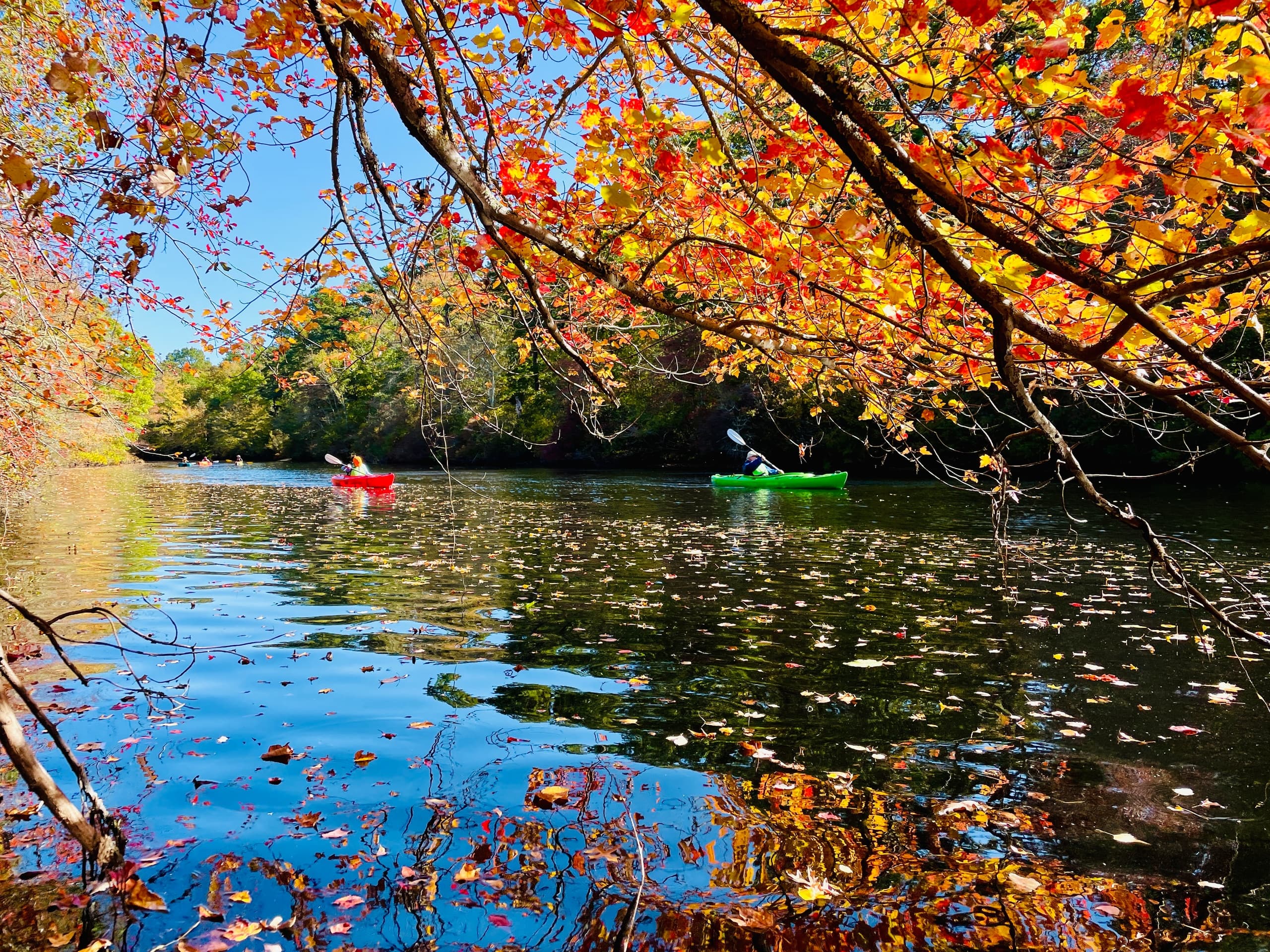 Autumn canoeing under colorful fall foliage on calm lake