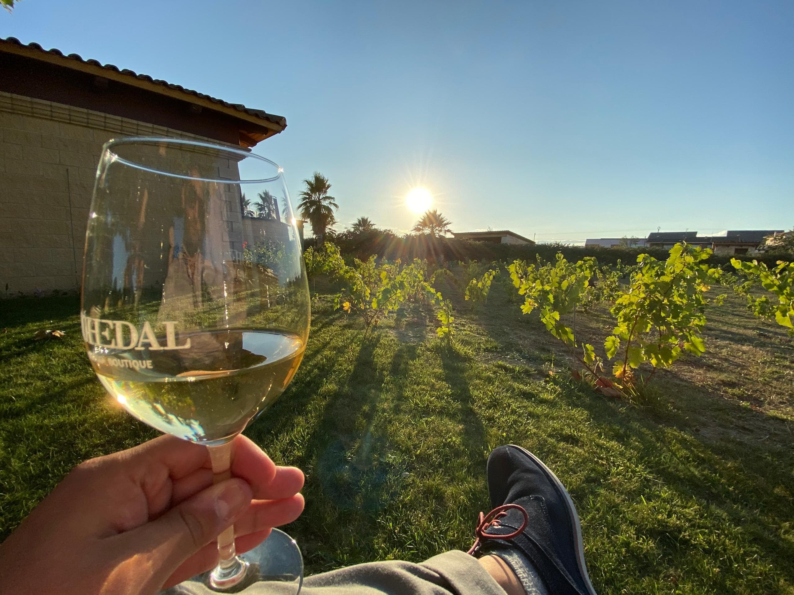 Relaxing with a wine glass overlooking sunlit vineyard rows