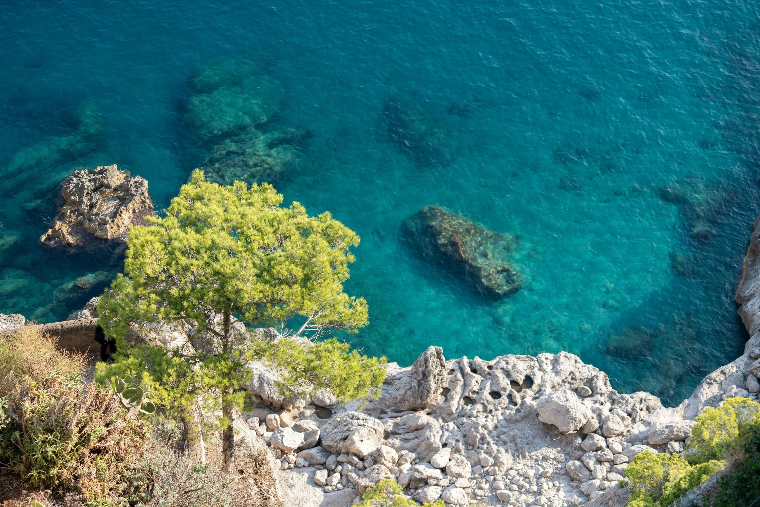 Sail the Amalfi Coast: Semi-Private Boat Day Trip to Positano & Amalfi photo 1
