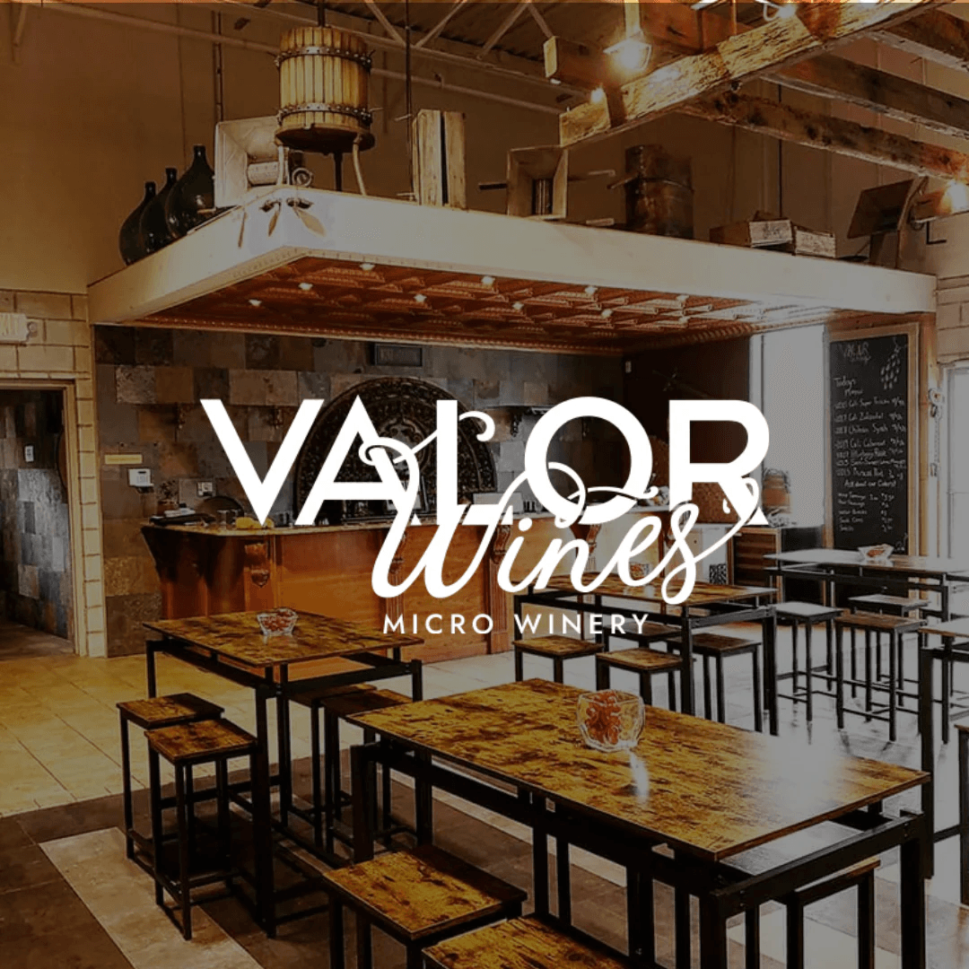 Hands-On Bonsai Workshop at Valor Wines in North Haven