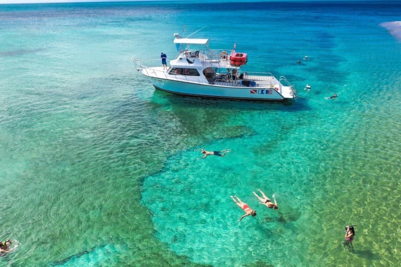 Snorkeling Adventure in Vieques Island, Puerto Rico