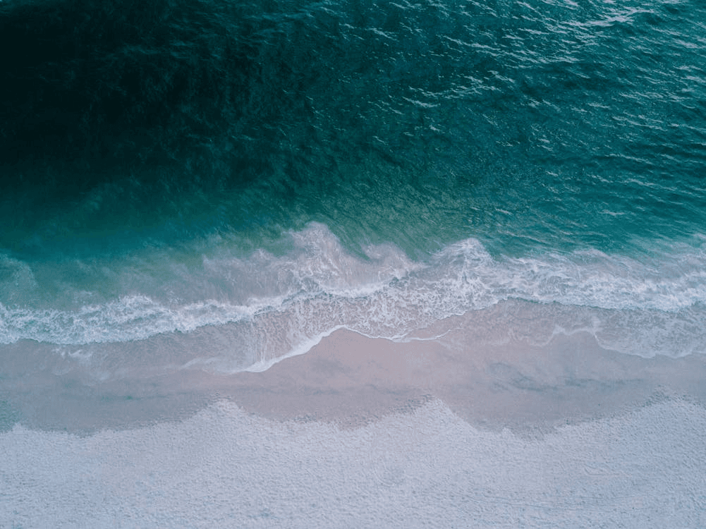 Boat Rental in Orange Beach, Alabama