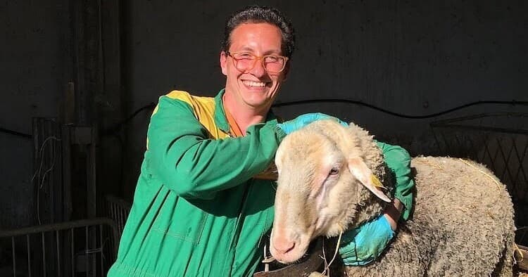 Pecorino & Sheep Farm Experience in Pienza with Farm Experiences & Tours