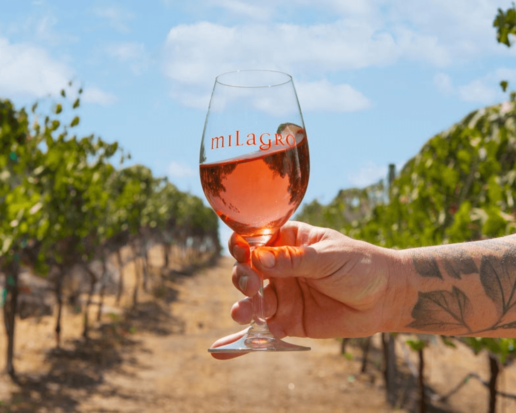 San Diego Wine Country Tours with Five Star Tours
