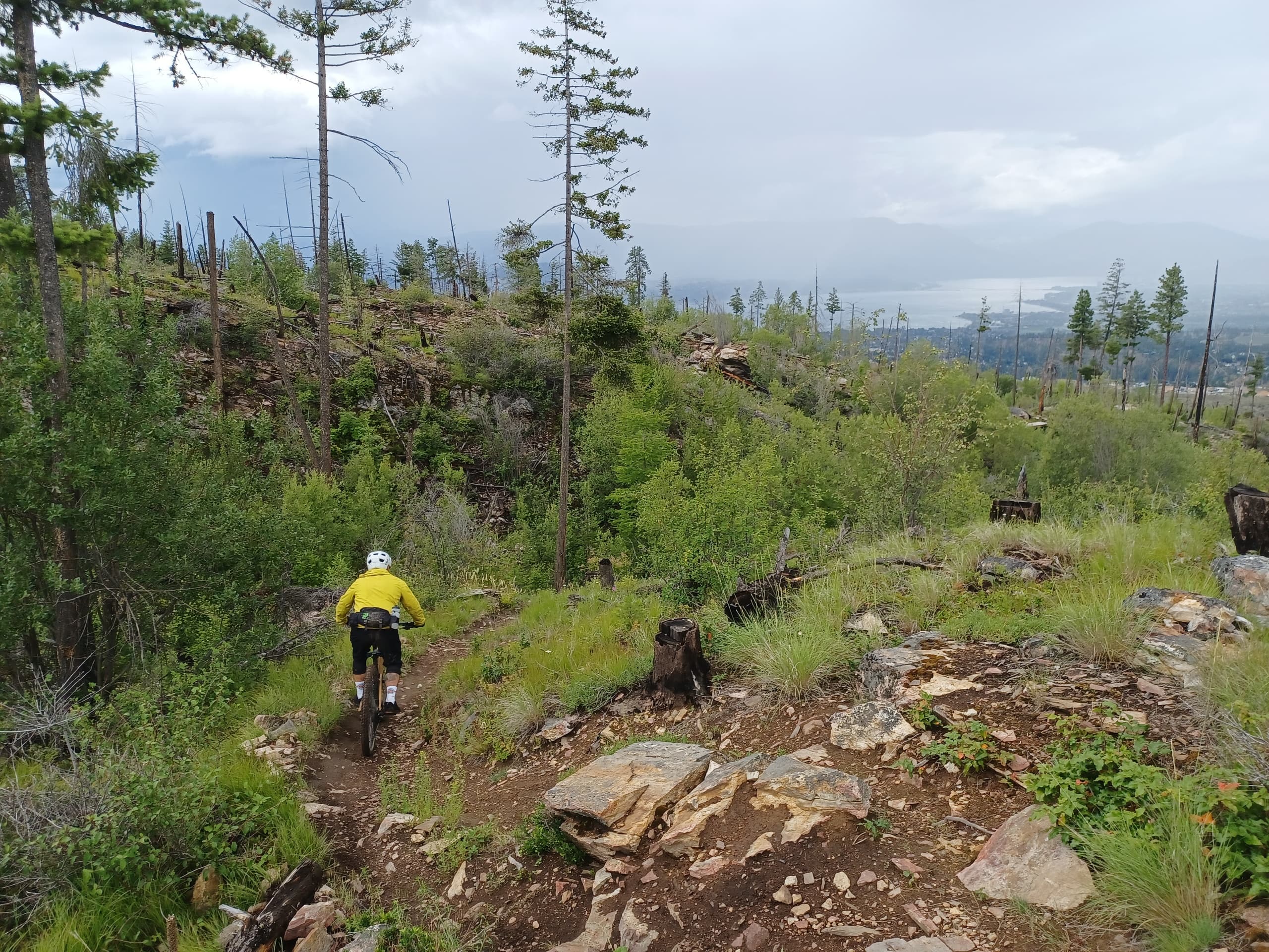 Gillard Gravity Experience: Kelowna's Steep Technical Singletrack Coaching photo 3