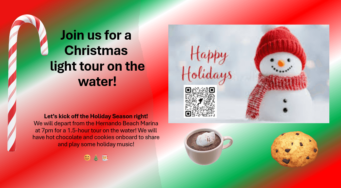 Hernando Beach Christmas Light Boat Tour: Festive Evening Cruises on the Water