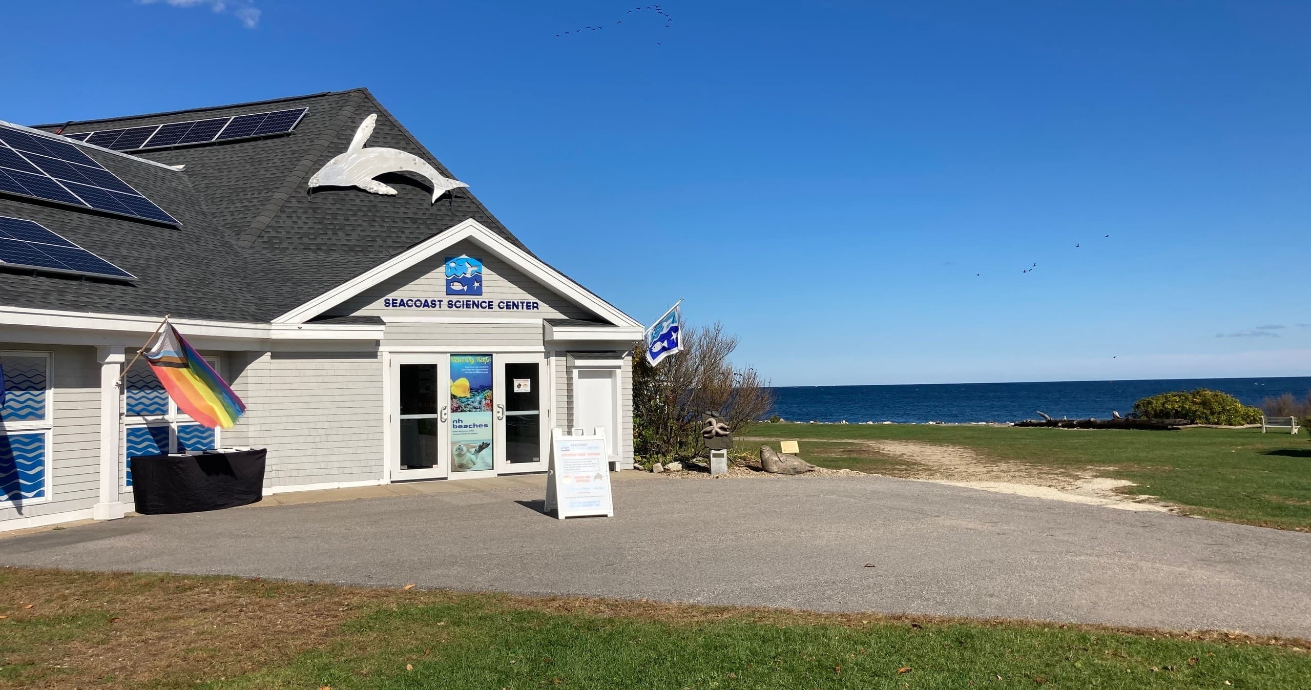 Explore Marine Life at Seacoast Science Center, Rye NH