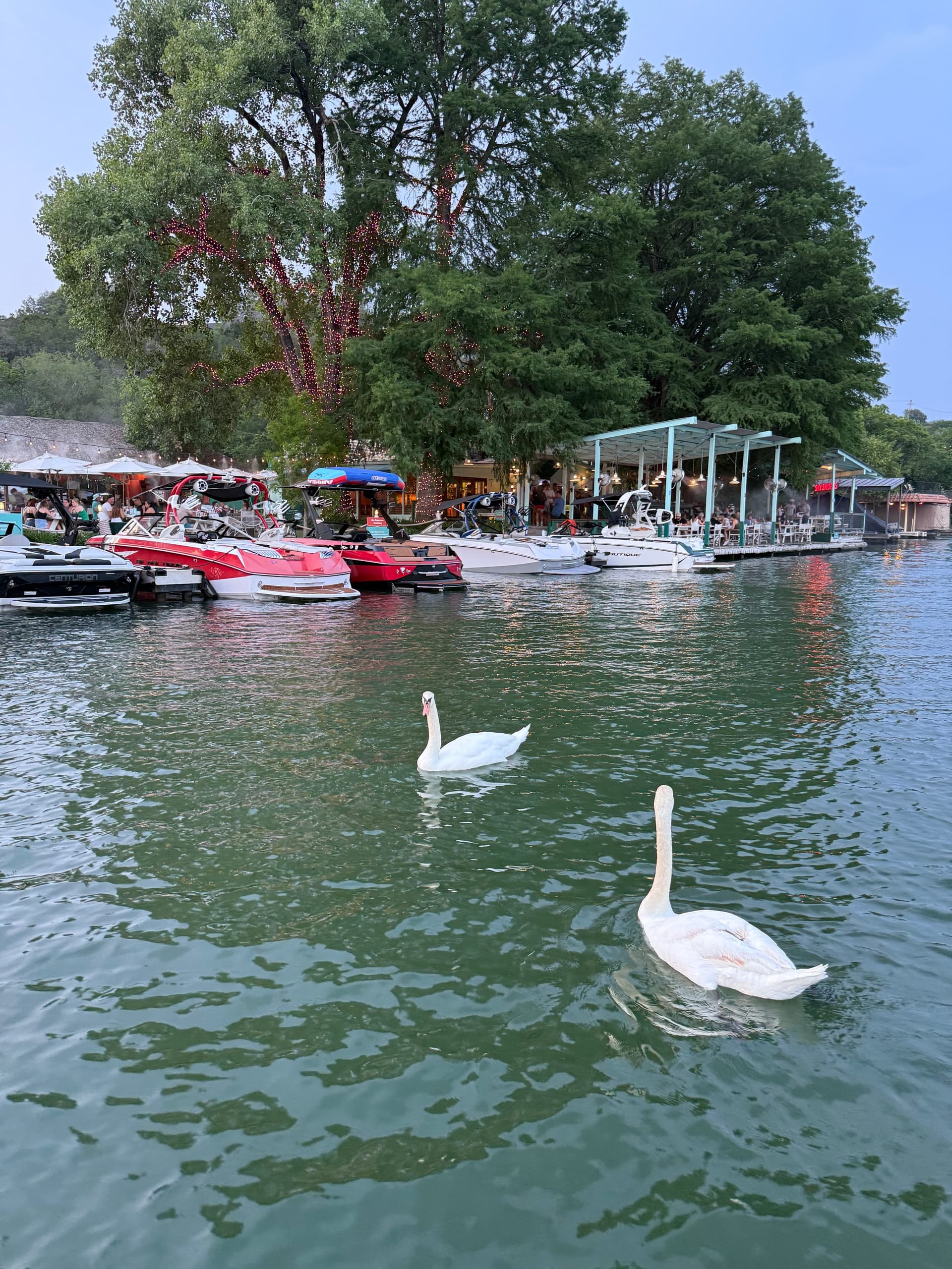 Sunset Cruise on Lake Austin: Mount Bonnell & 360 Bridge Boat Tour photo 4