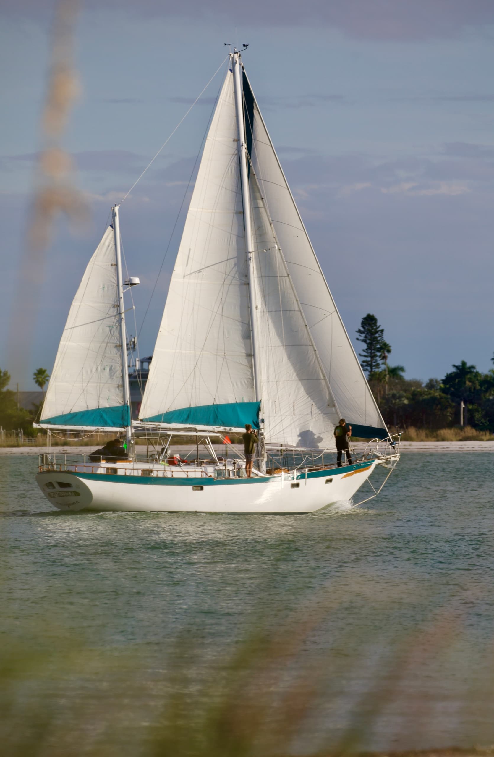 St. Pete Sail Charters fleet