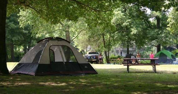 Tent pitched under trees with picnic table at shady campground
