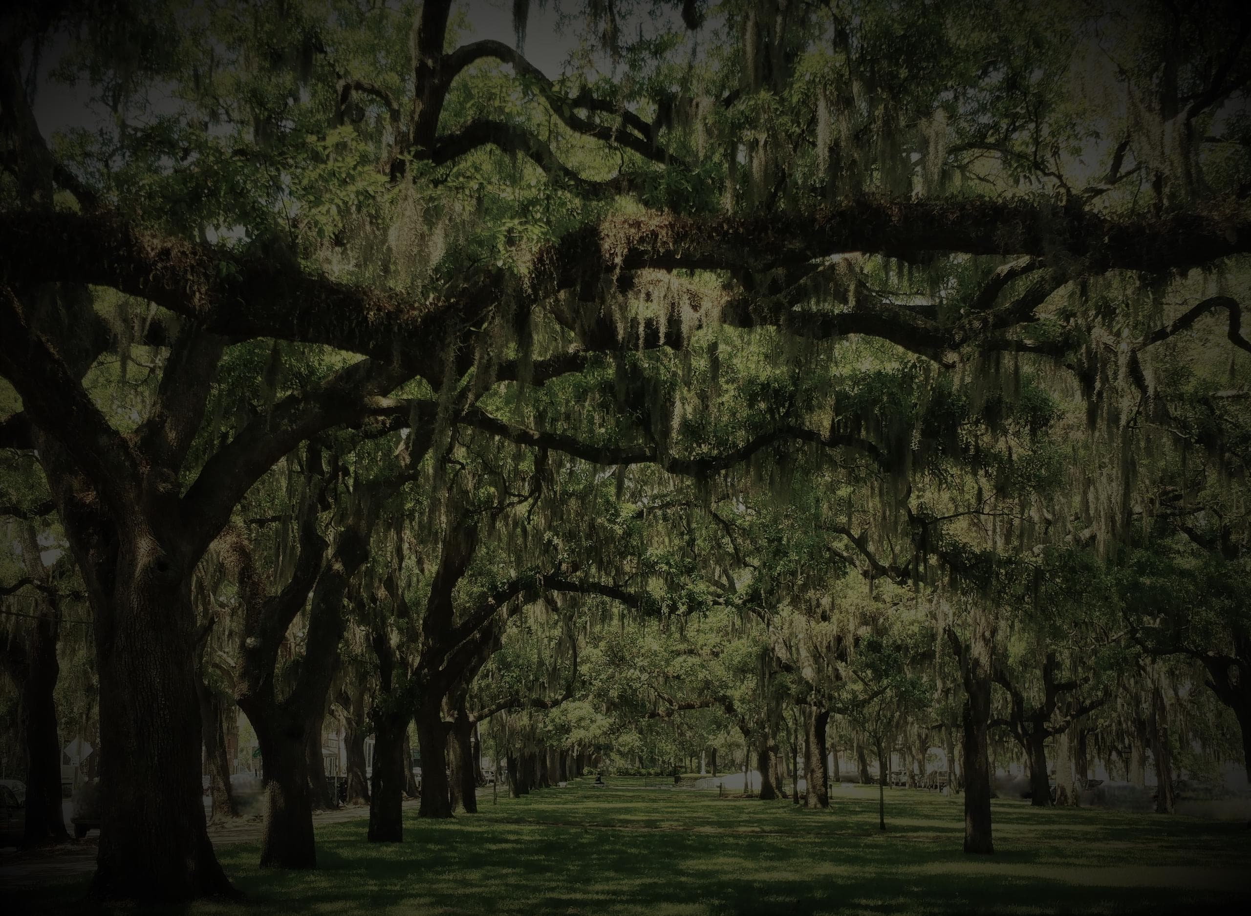 Savannah History & Haunts fleet
