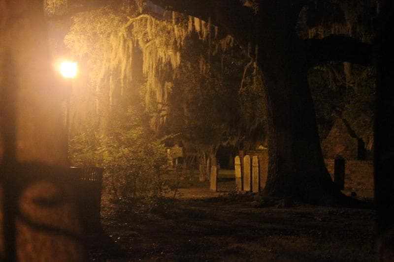 Historic oak tree and lamplight on nocturnal ghost walking tour