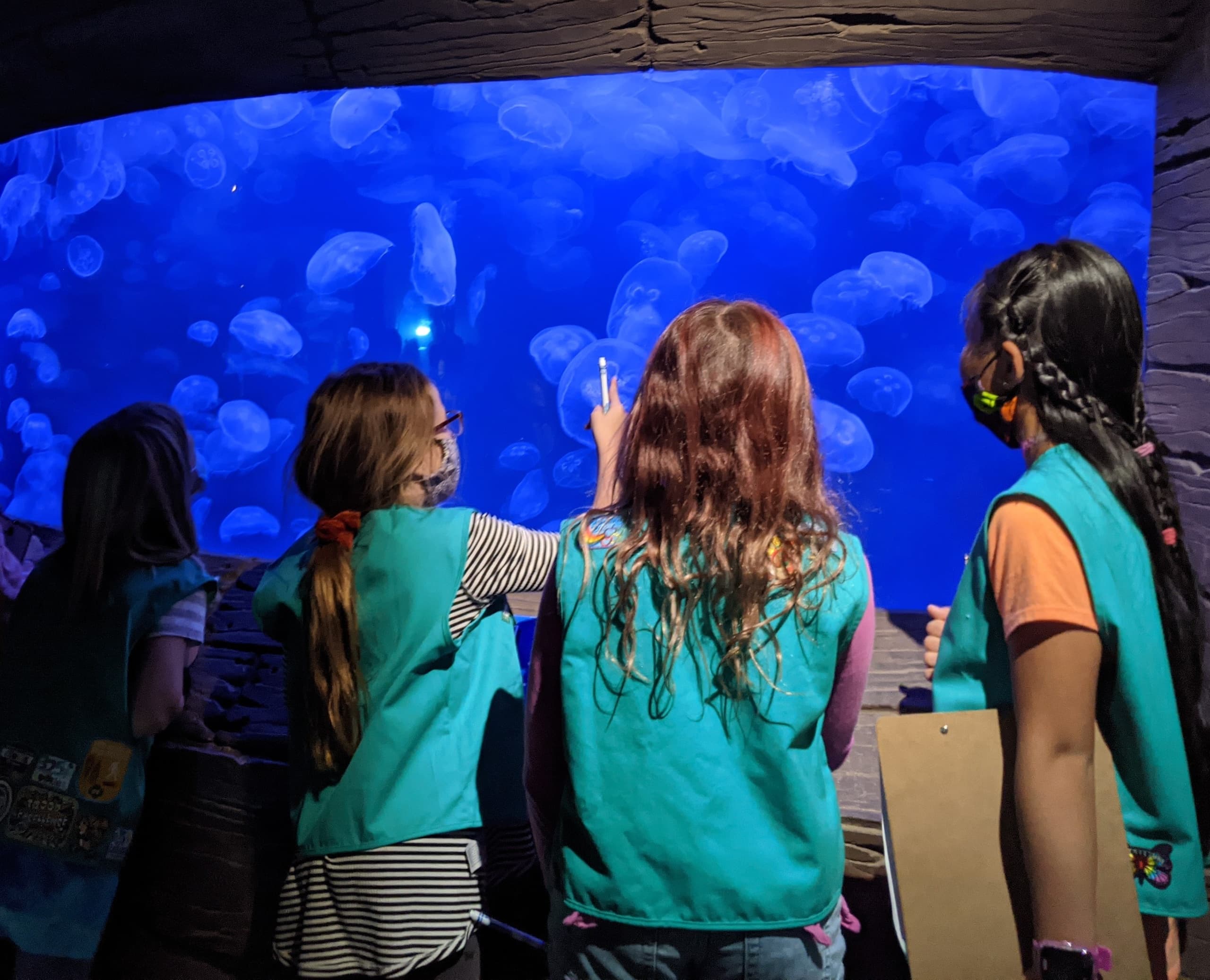 Scout Day Adventure at Downtown Aquarium Denver photo 1