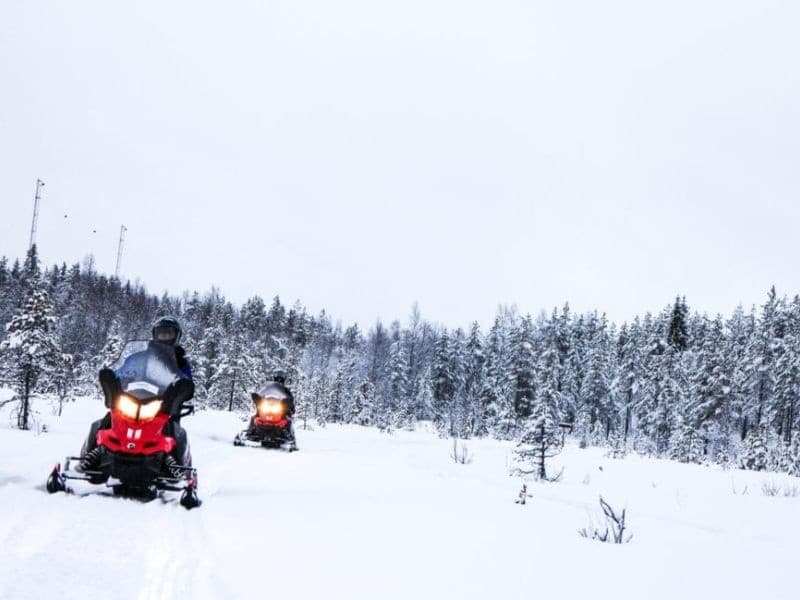 Family Snowmobile Safari to Reindeer Farm in Saariselkä photo 1