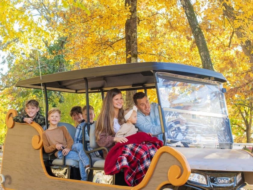 Branson's 6-Seat Sleigh Ride: Holiday Golf Cart Rental & Lights Tour photo 1