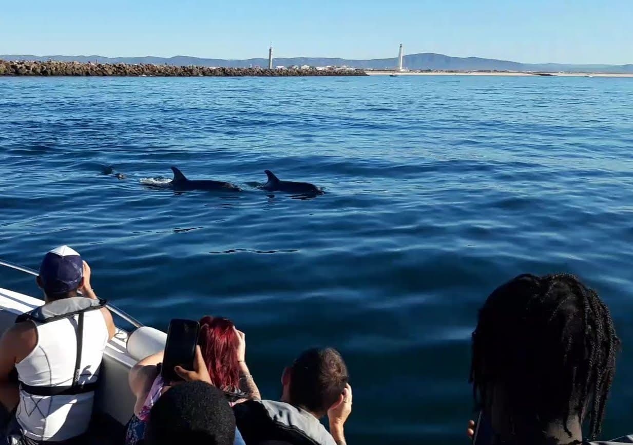 Discover the Magic of Dolphin Watching and Island Hopping in Ria Formosa, Portugal