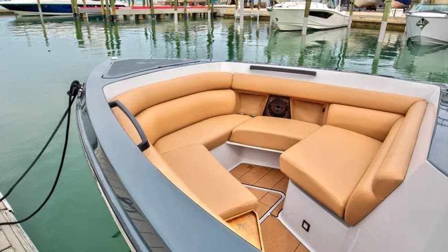 Two-Hour Winter Sarasota Charter on 35-Foot Aviara: Dolphins, Sandbar & Speed photo 3