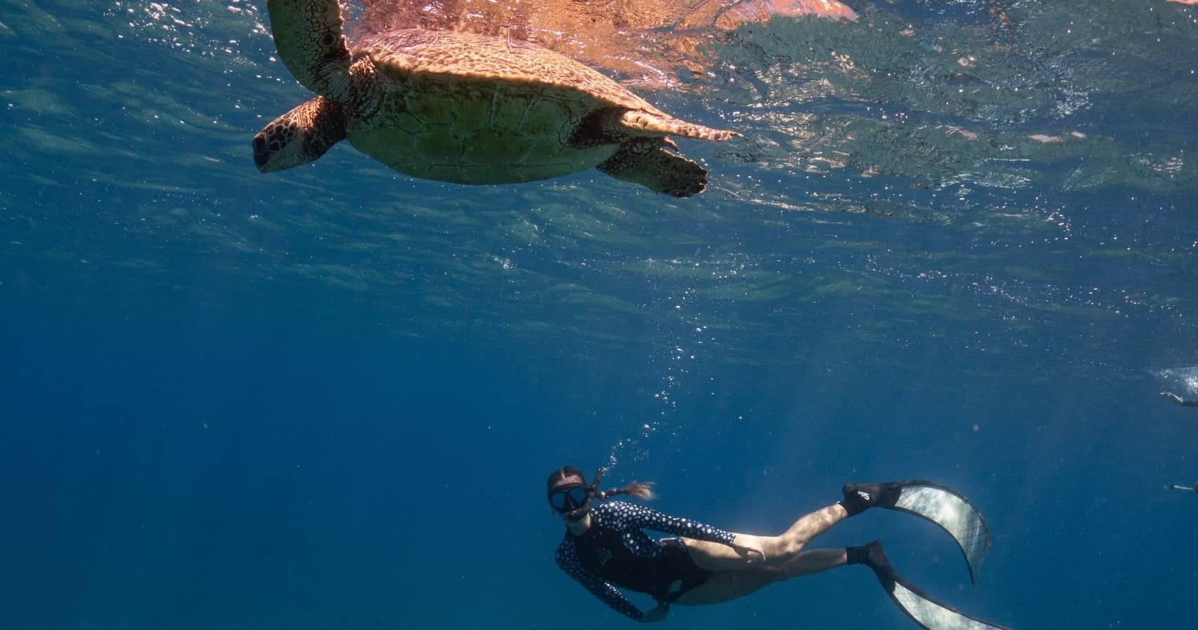 Freediver swimming with sea turtle in clear Pacific ocean