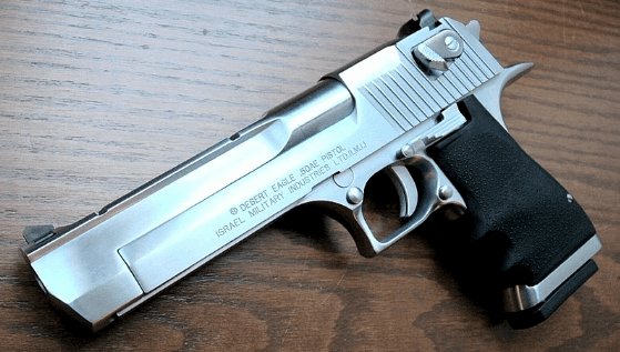 Firearm Experience with Desert Eagle at Texas Gun Experience