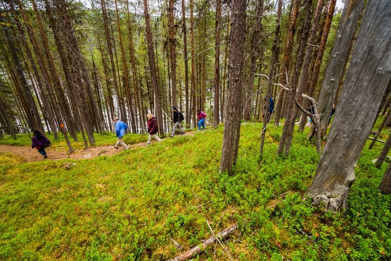 Lemmenjoki River Excursion & Sami Culture with Kakslauttanen