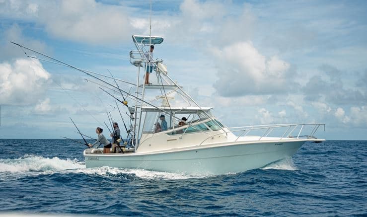 Riptide 8-Hour Marlin Charter: Offshore Marlin & Sailfish Fishing from St. Thomas photo 1