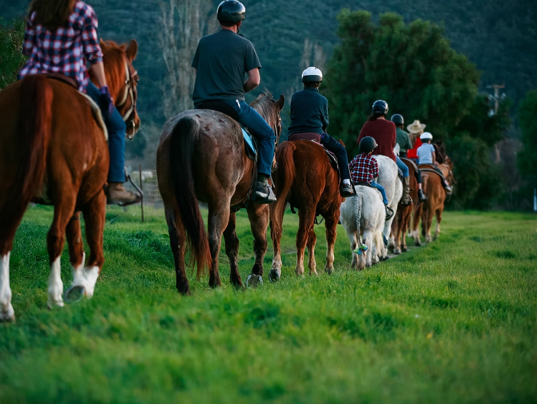 Private 90 Minute Trail Ride in Buellton, California