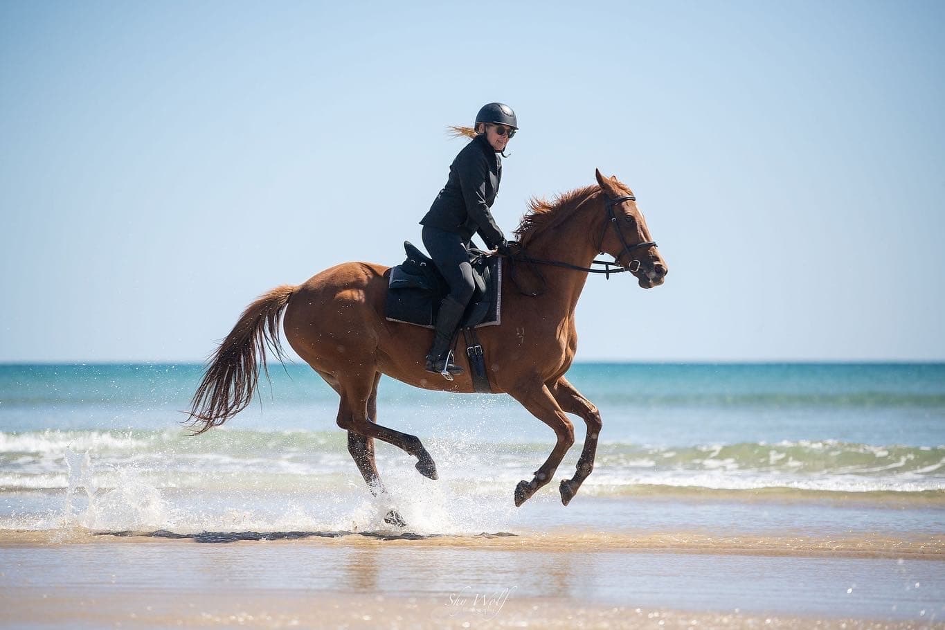 Land Adventures at Bakers Beach with Cradle Country Adventures