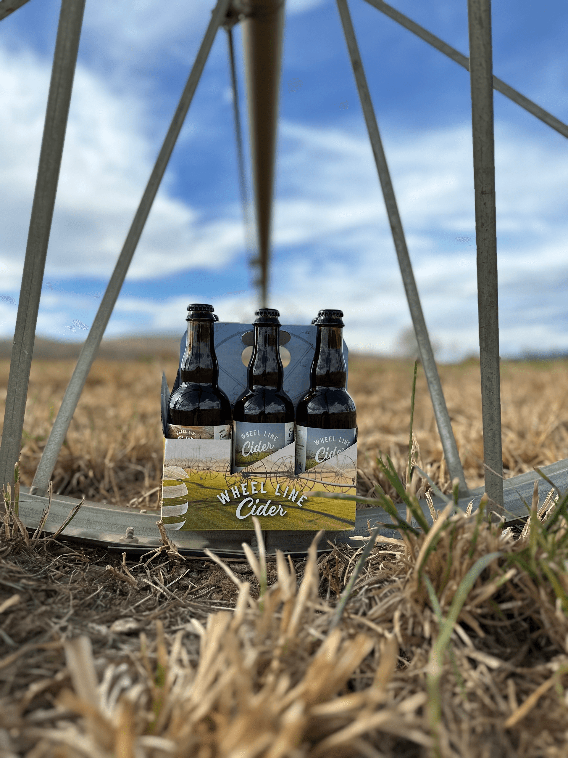 Walking Farm Tour: Orchard Walk & Cider-Making Demo in Ellensburg photo 2