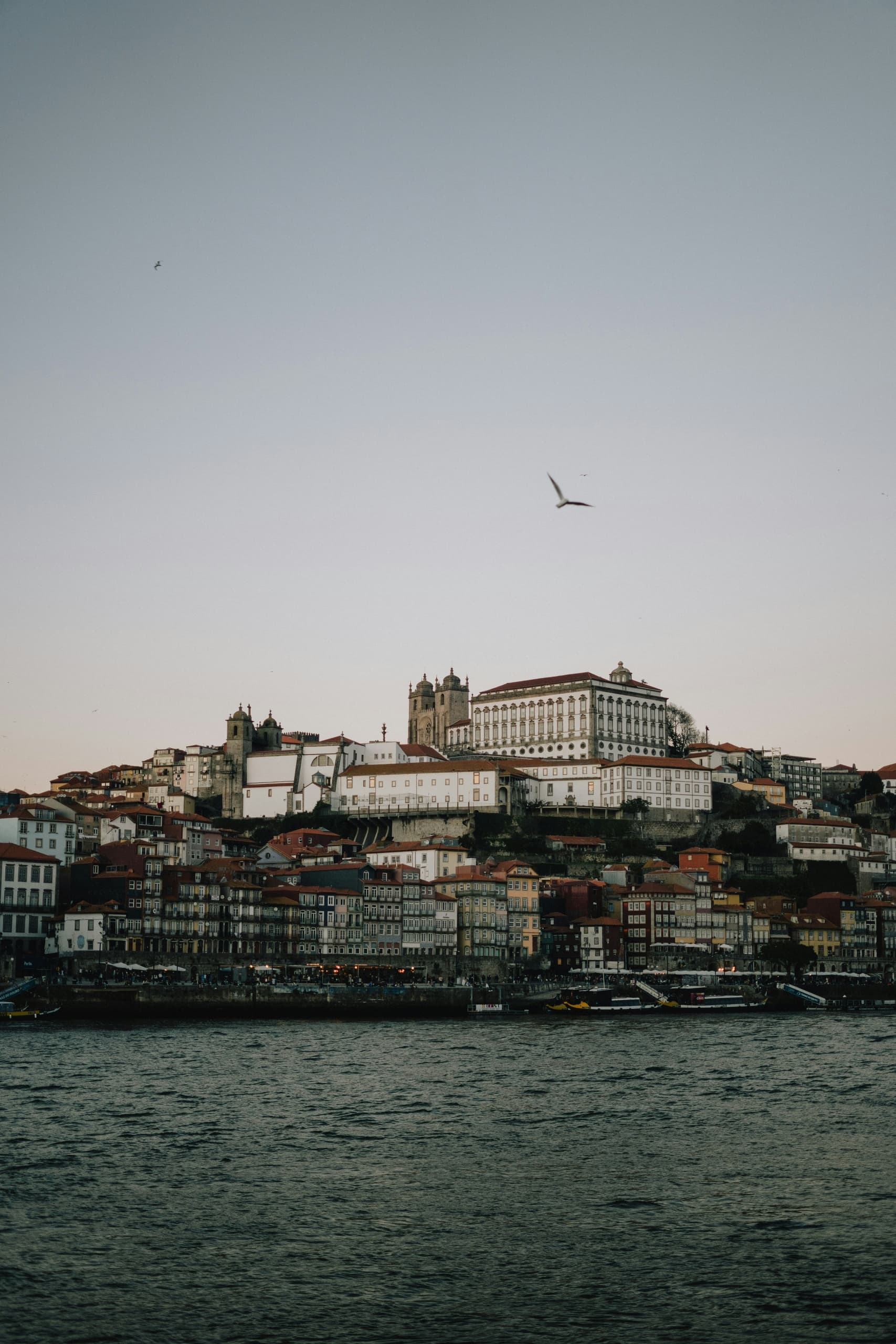 Sado River Boat Tour with Cantinhos do Sado