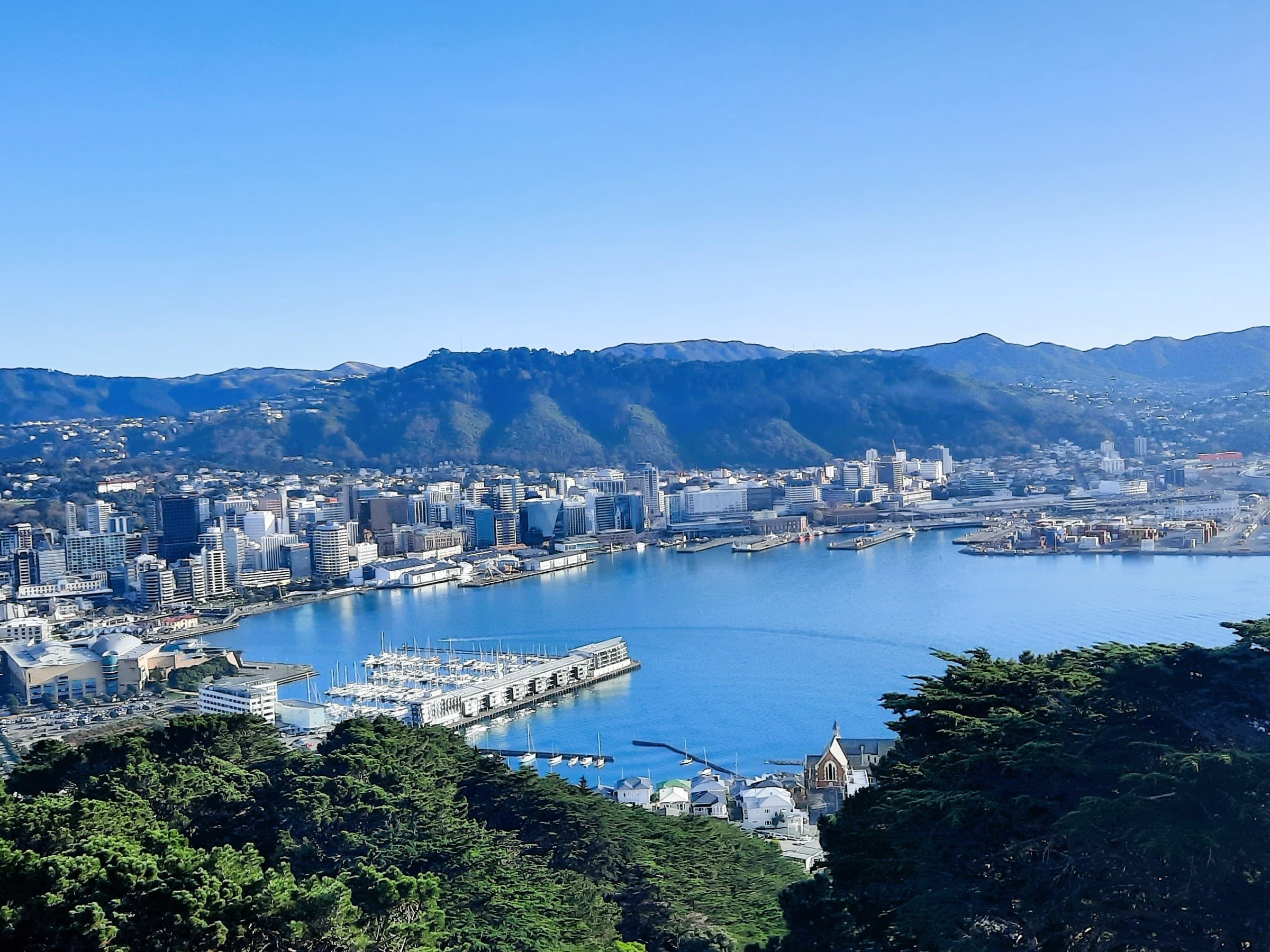 Explore Wellington’s Coastal Beauty and Cultural Gems on a Private 5-Hour Tour