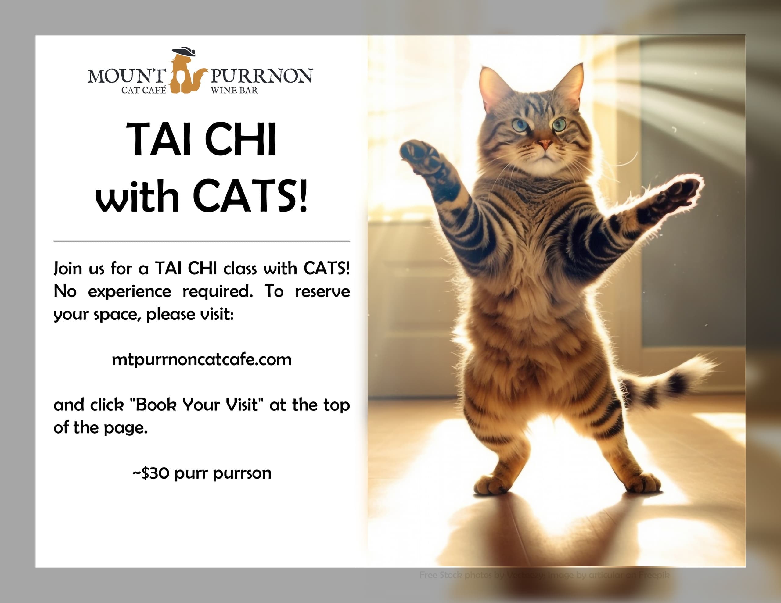 Outdoor Wildlife Nature: Cat Tai Chi at Mount Purrnon
