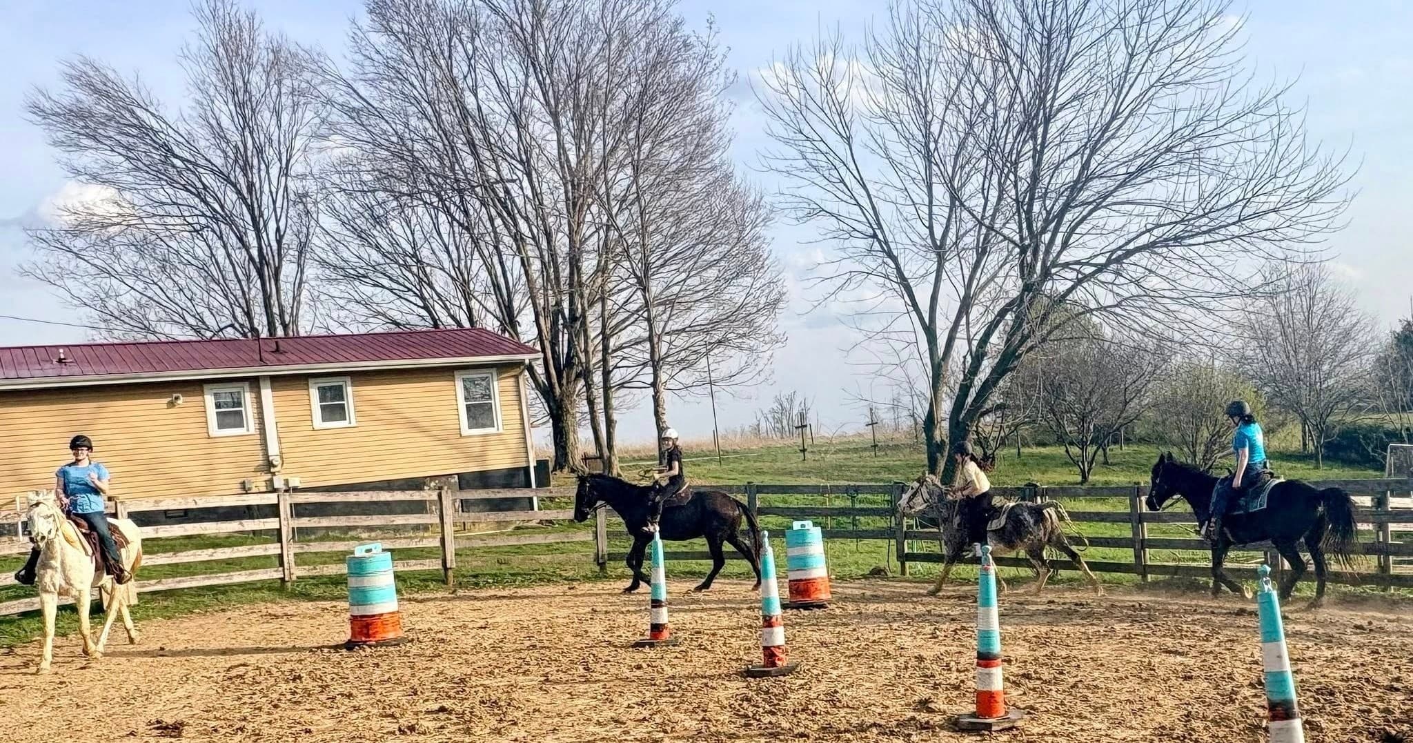 Group Lessons at Eowyn Farm: Hands-On Western Horsemanship in Park City, Kentucky