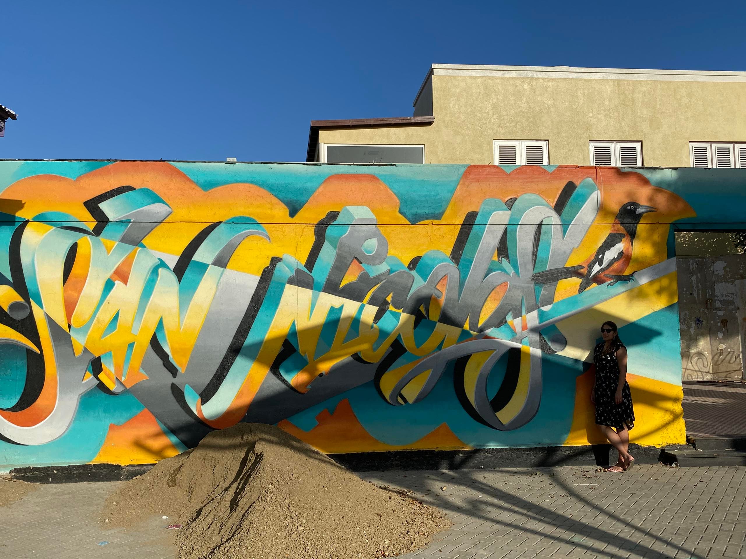 Sunlit outdoor graffiti mural on large wall, street art tour