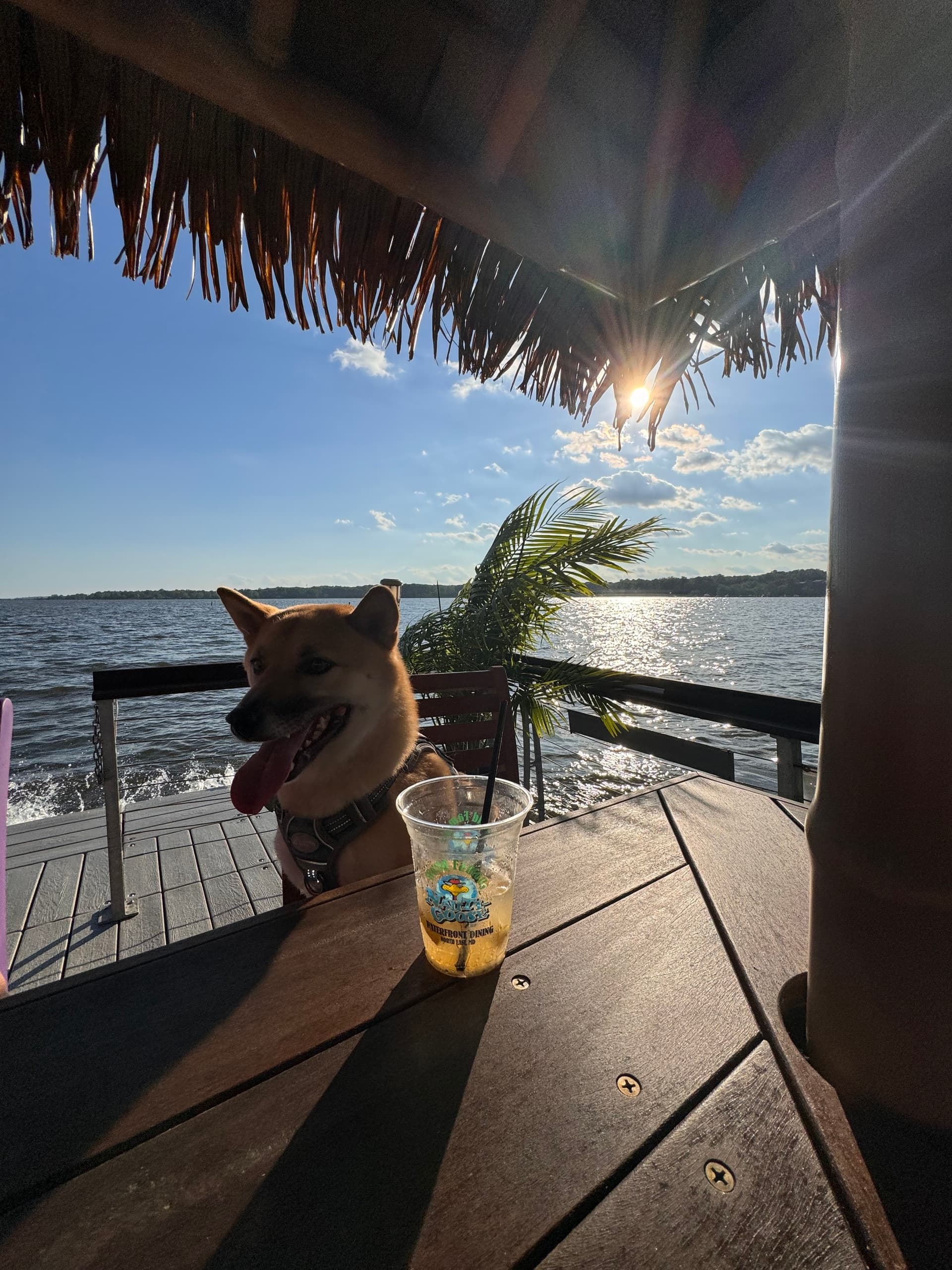 Mid Day Get Away Cruise with Tiki Splash LLC in Maryland