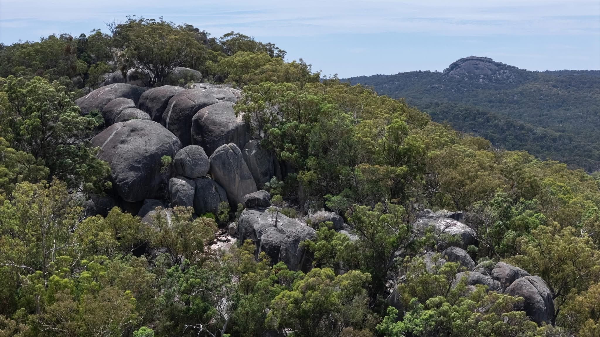 Heritage Train to Girraween: Warwick to Stanthorpe High Country Day Tour photo 3